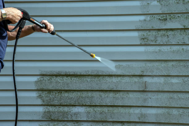 Professional Pressure Washing in Trinity, AL