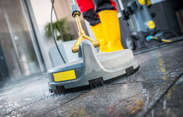Best Roof Pressure Washing  in Trinity, AL